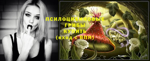2c-b Кулебаки