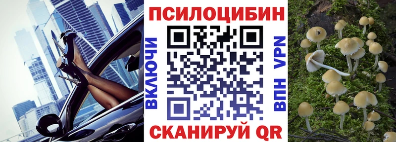 Псилоцибиновые грибы Psilocybe  KRAKEN сайт  Жиздра 