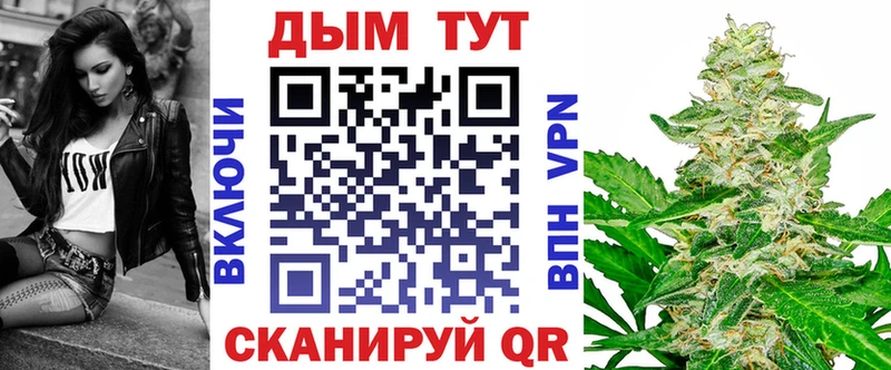 Шишки марихуана план  где купить наркоту  Жиздра 